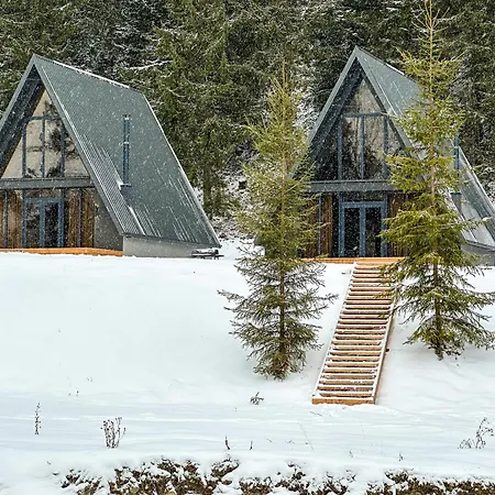 Ultra House будиночки в лісі біля гірської річки *