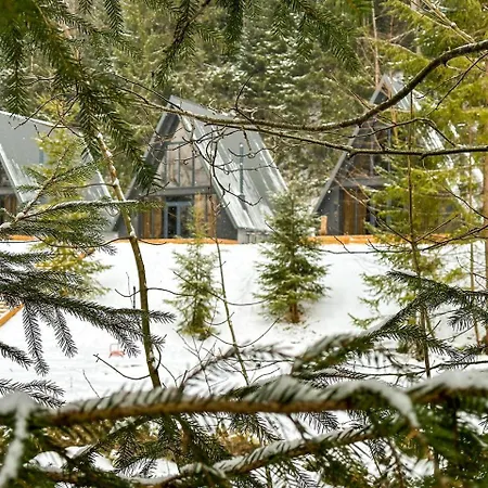 Ultra House * Verkhovyna