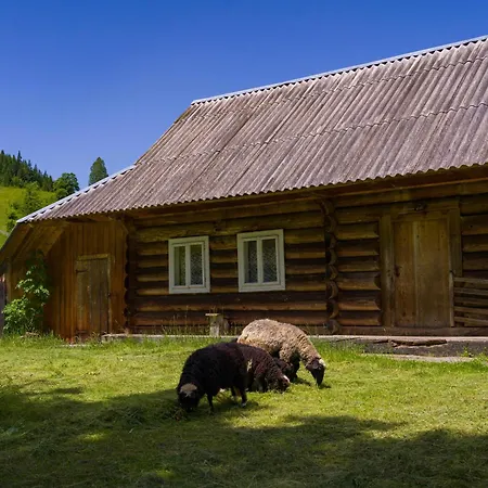 Ultra House * Verkhovyna