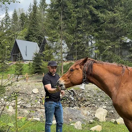 Ultra House Villa Verkhovyna