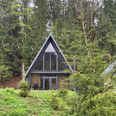 ヴィラ Ultra House будиночки в лісі біля гірської річки ヴェルホヴィナ