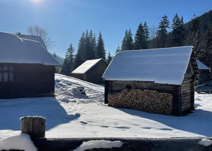 Ultra House будиночки в лісі біля гірської річки * Верховина