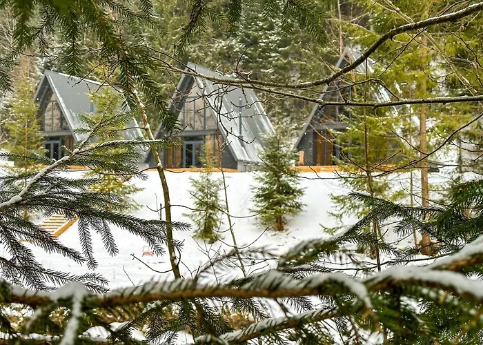 Ultra House будиночки в лісі біля гірської річки * Верховина