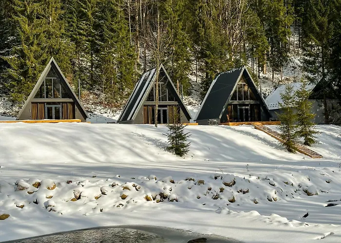 Вилла Ultra House будиночки в лісі біля гірської річки Верховина