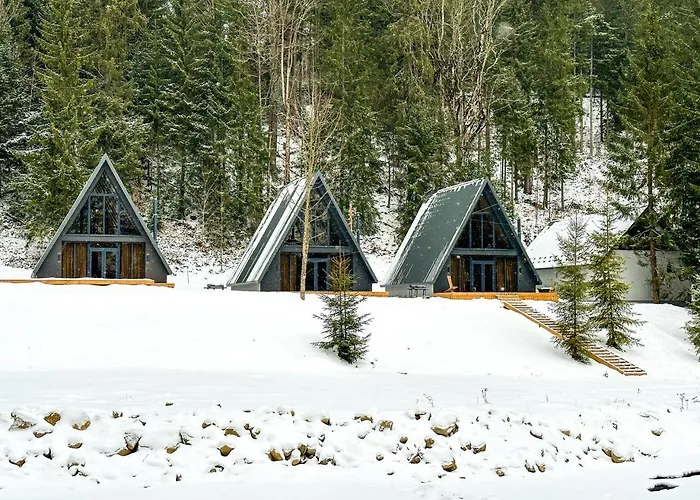 Ultra House будиночки в лісі біля гірської річки Вилла Верховина