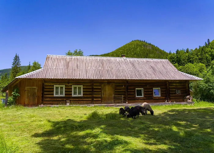 Вилла Ultra House будиночки в лісі біля гірської річки Верховина