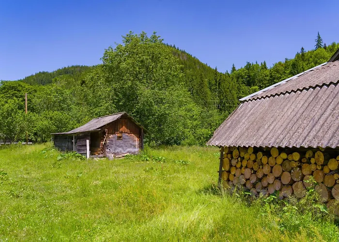 Ultra House будиночки в лісі біля гірської річки *