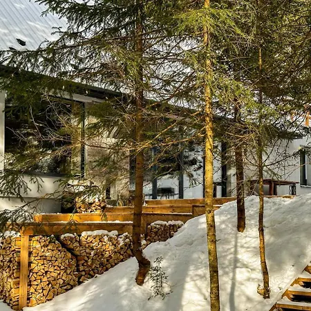 别墅 Ultra House будиночки в лісі біля гірської річки