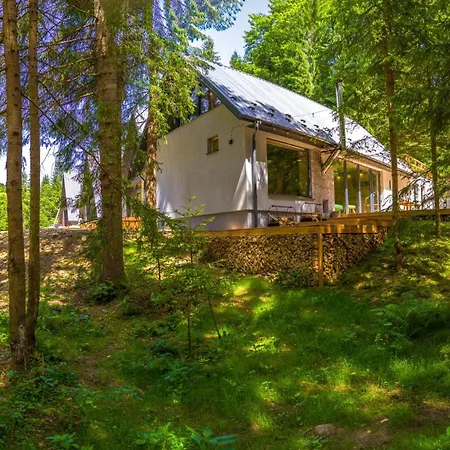 Ultra House будиночки в лісі біля гірської річки * 韦尔霍维纳