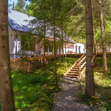 Ultra House будиночки в лісі біля гірської річки
