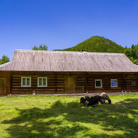 别墅 Ultra House будиночки в лісі біля гірської річки 韦尔霍维纳