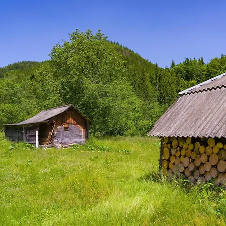 Ultra House будиночки в лісі біля гірської річки *